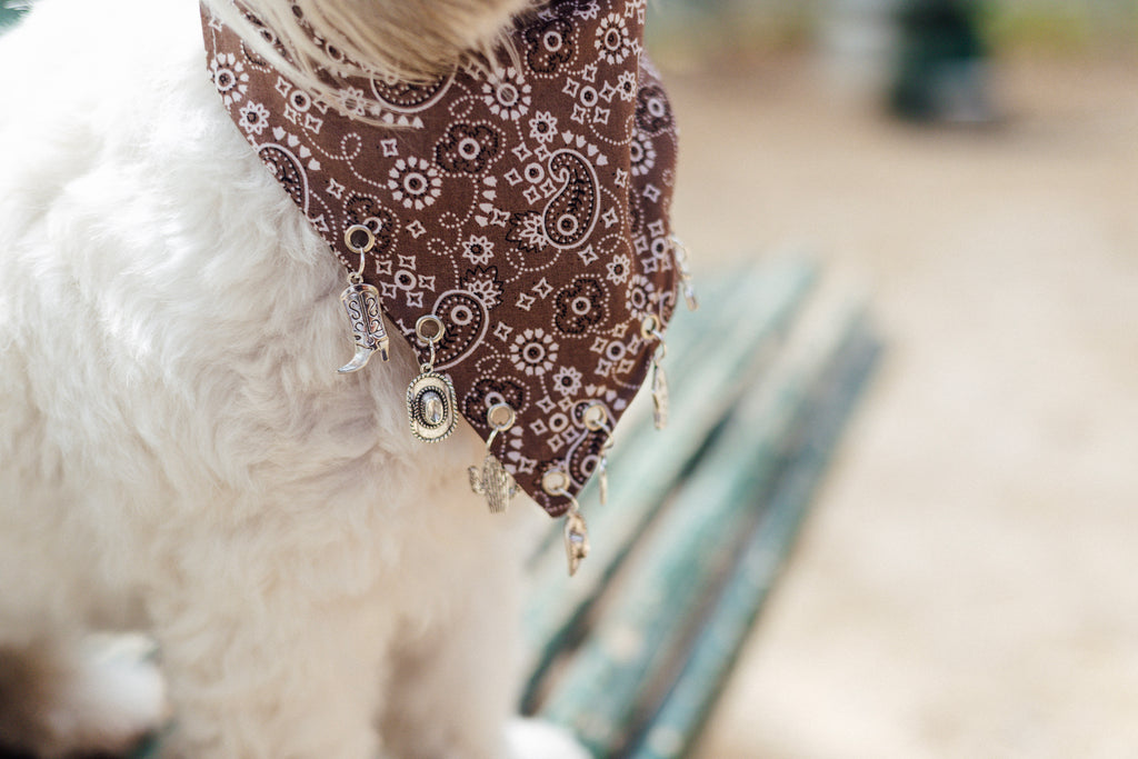 Rodeo Charm Bandana showing the slide-on collar design