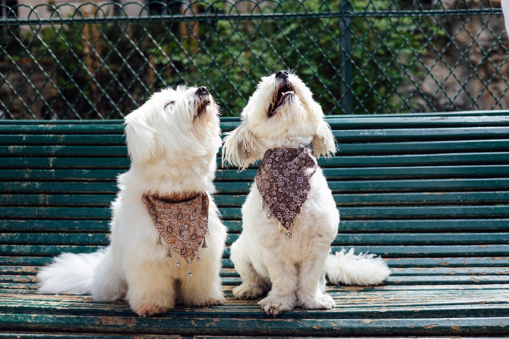 Très Paris Charm Bandana