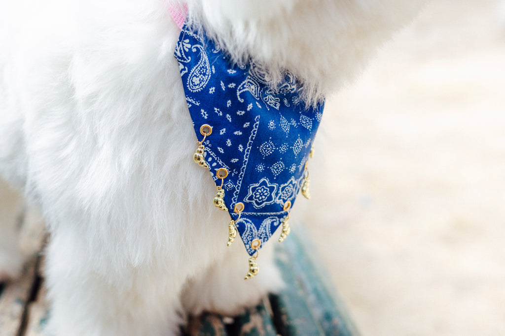 Close-up of gold croissant charms on a blue paisley dog bandana