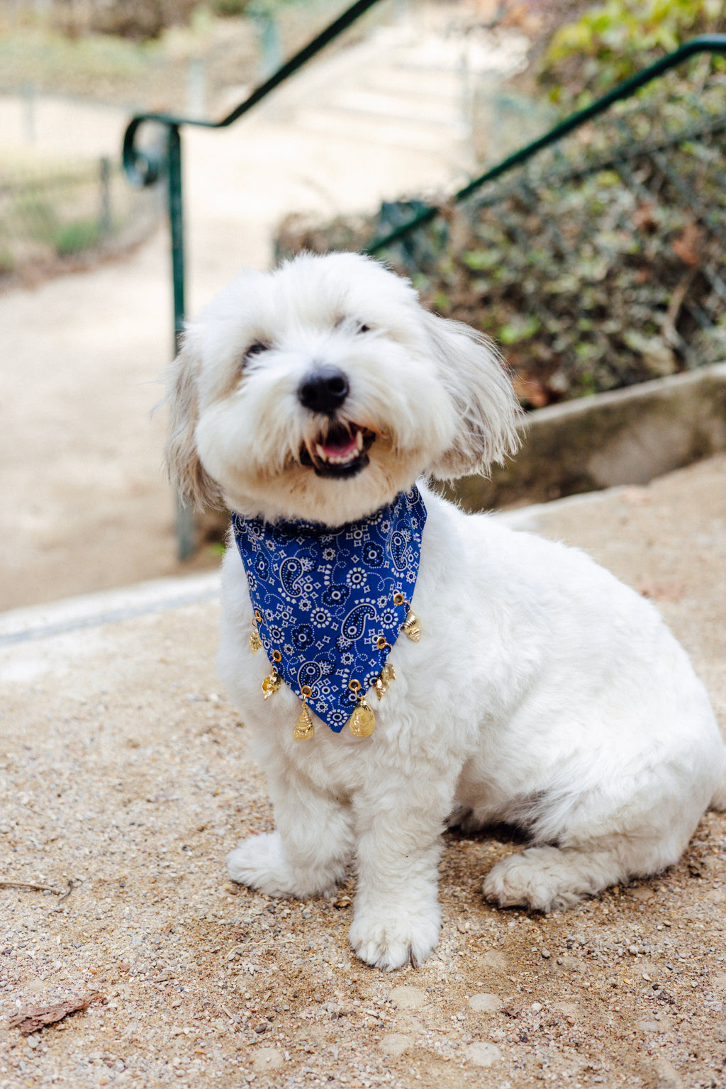 Blue Riviera Charm Bandana showing the slide-on collar design
