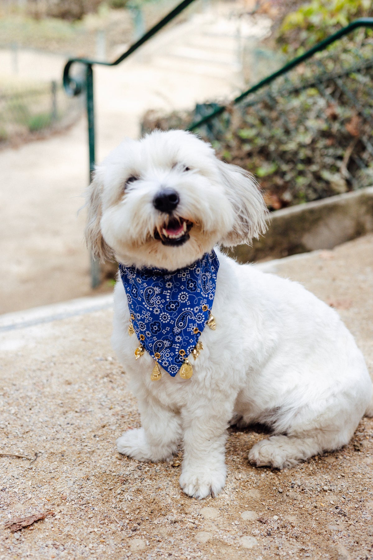 Blue Riviera Charm Bandana showing the slide-on collar design