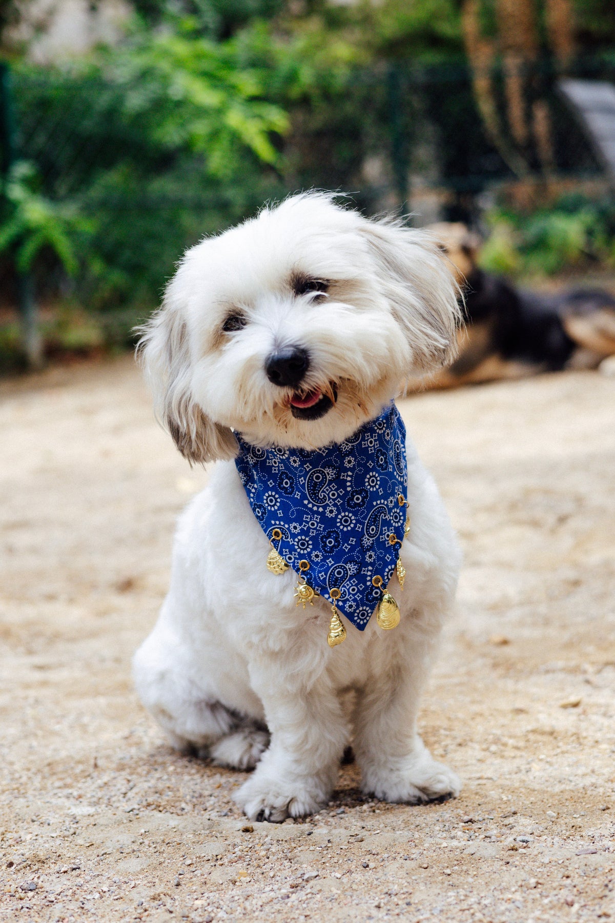 Riviera blue paisley slide-on collar bandana with gold charms by Pup Social