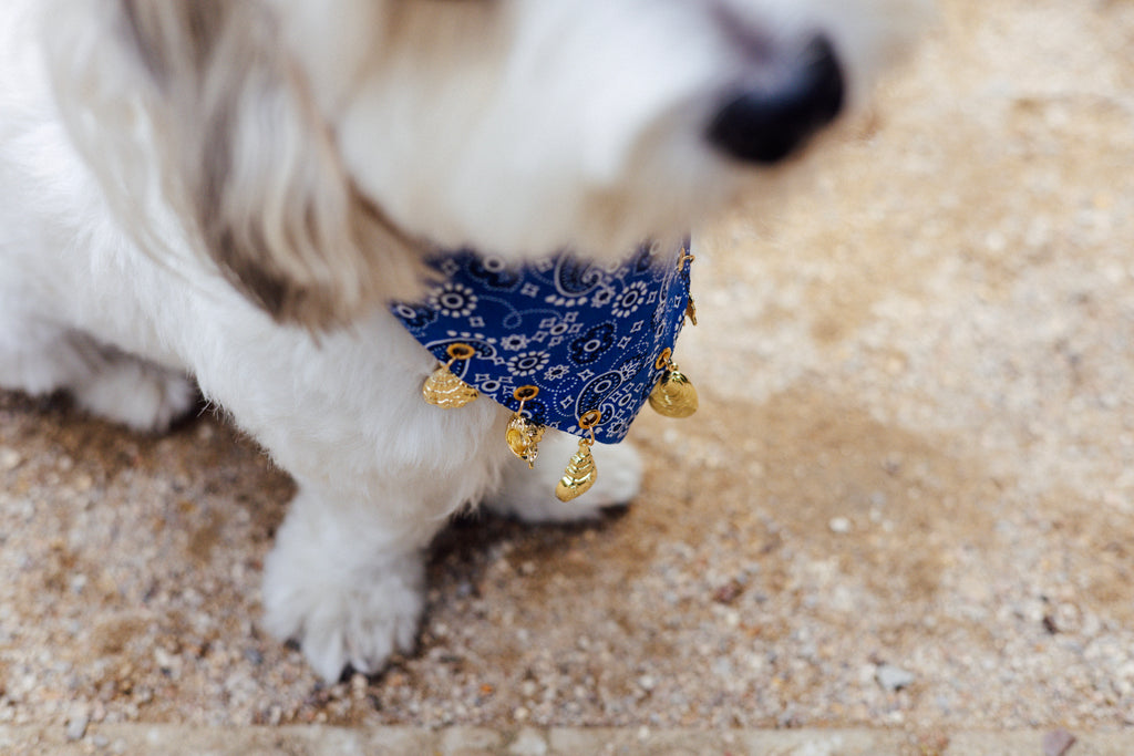 Blue paisley dog bandana with golden shell and sun charms