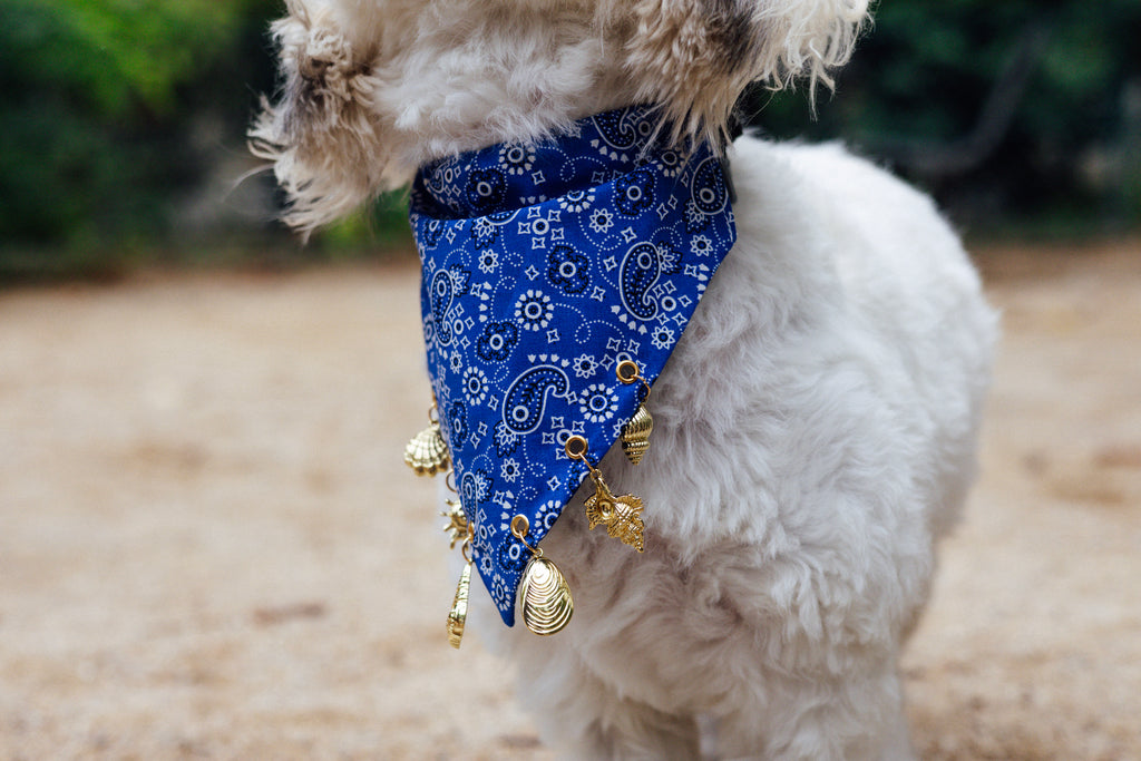 Blue paisley Riviera slide-on collar bandana for stylish dogs