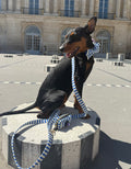 Classic Marinière striped dog leash by Pup Social