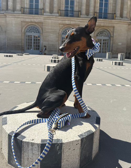 Classic Marinière striped dog leash by Pup Social