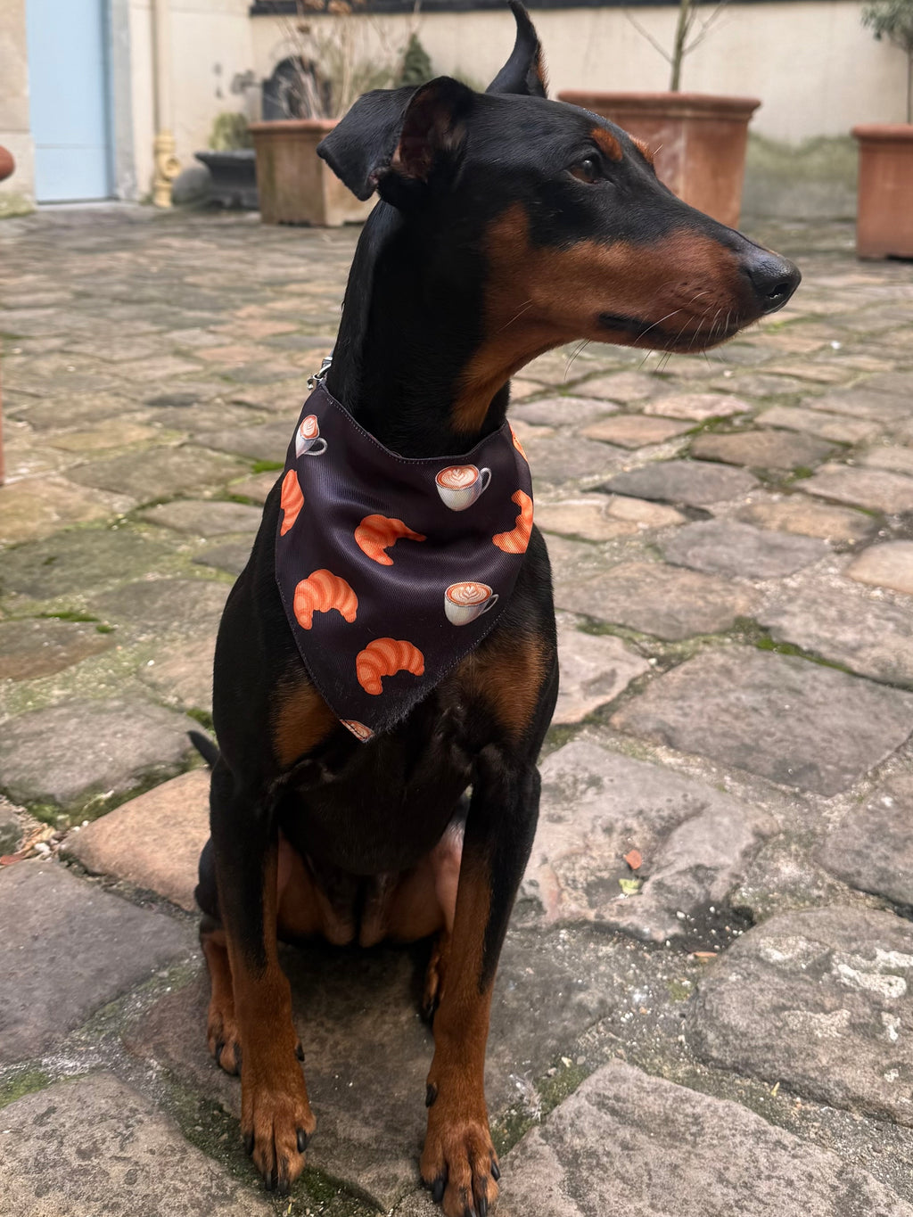 Croissant Dog Bandana