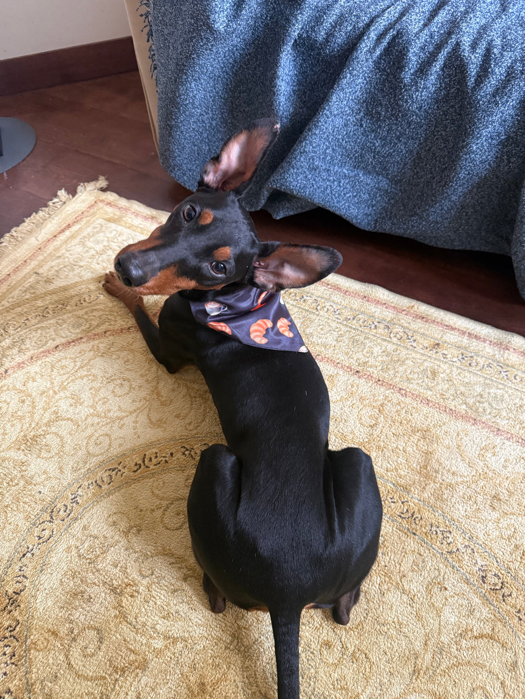 Croissant Dog Bandana