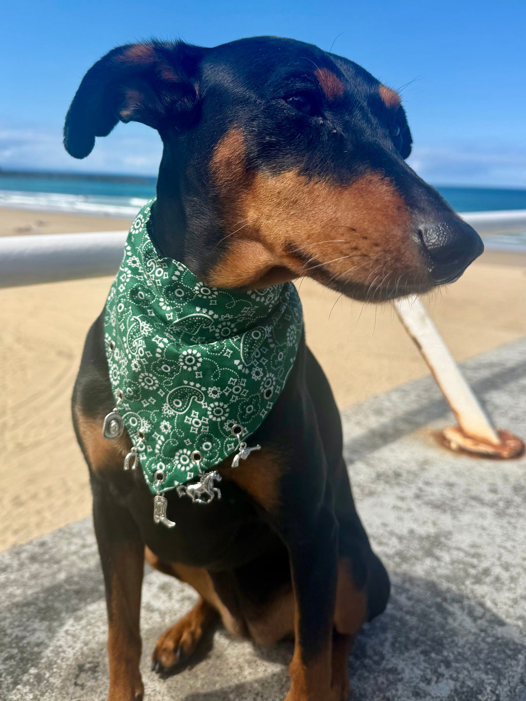 Lucky Rodeo Charm Bandana from the Le Charme Collection by Pup Social