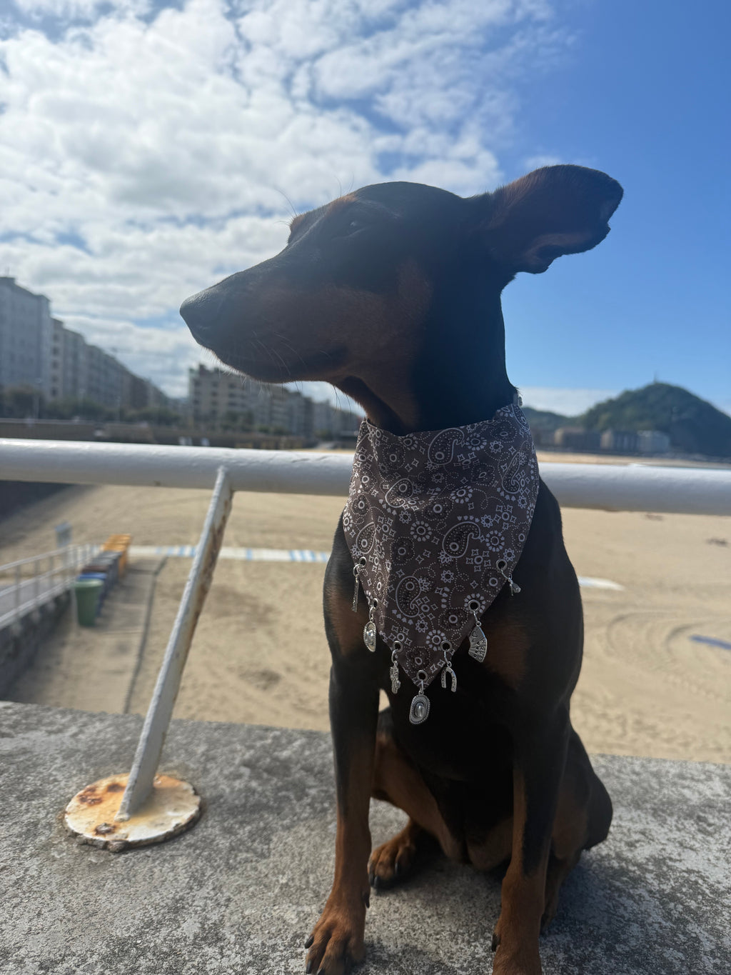 Rodeo paisley slide-on collar bandana for stylish dogs