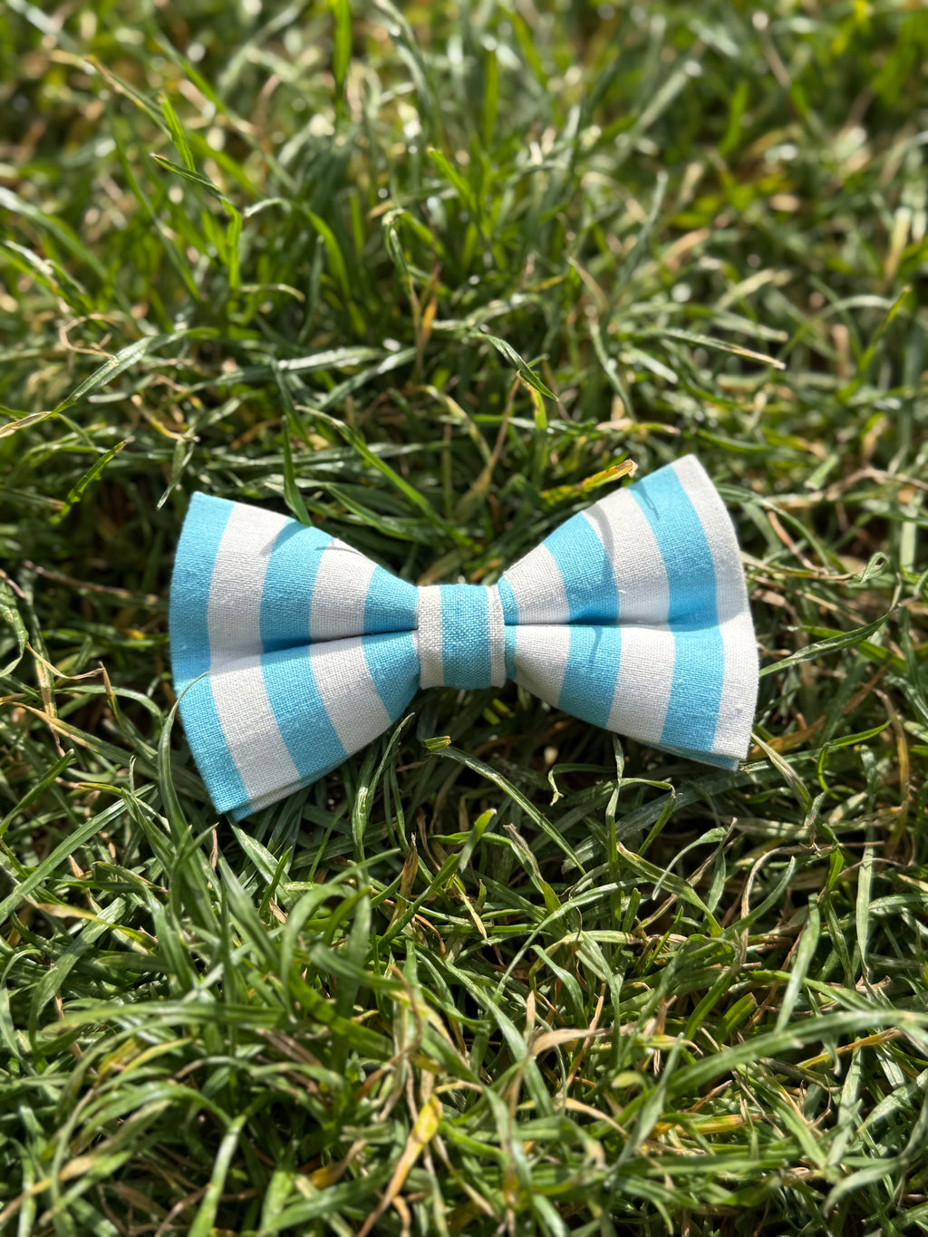 Matching sailor collection dog bow by Pup Social