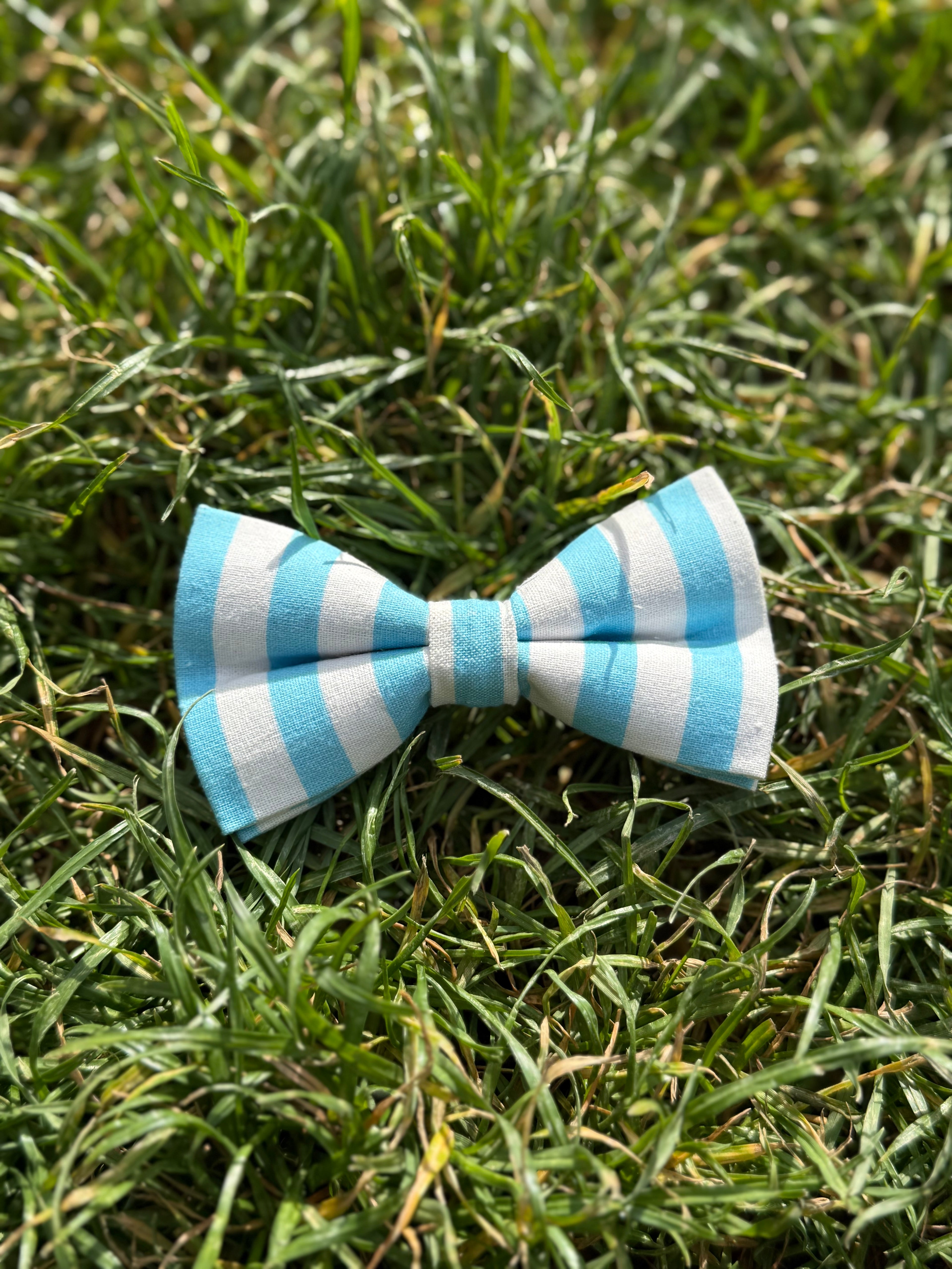Matching sailor collection dog bow by Pup Social