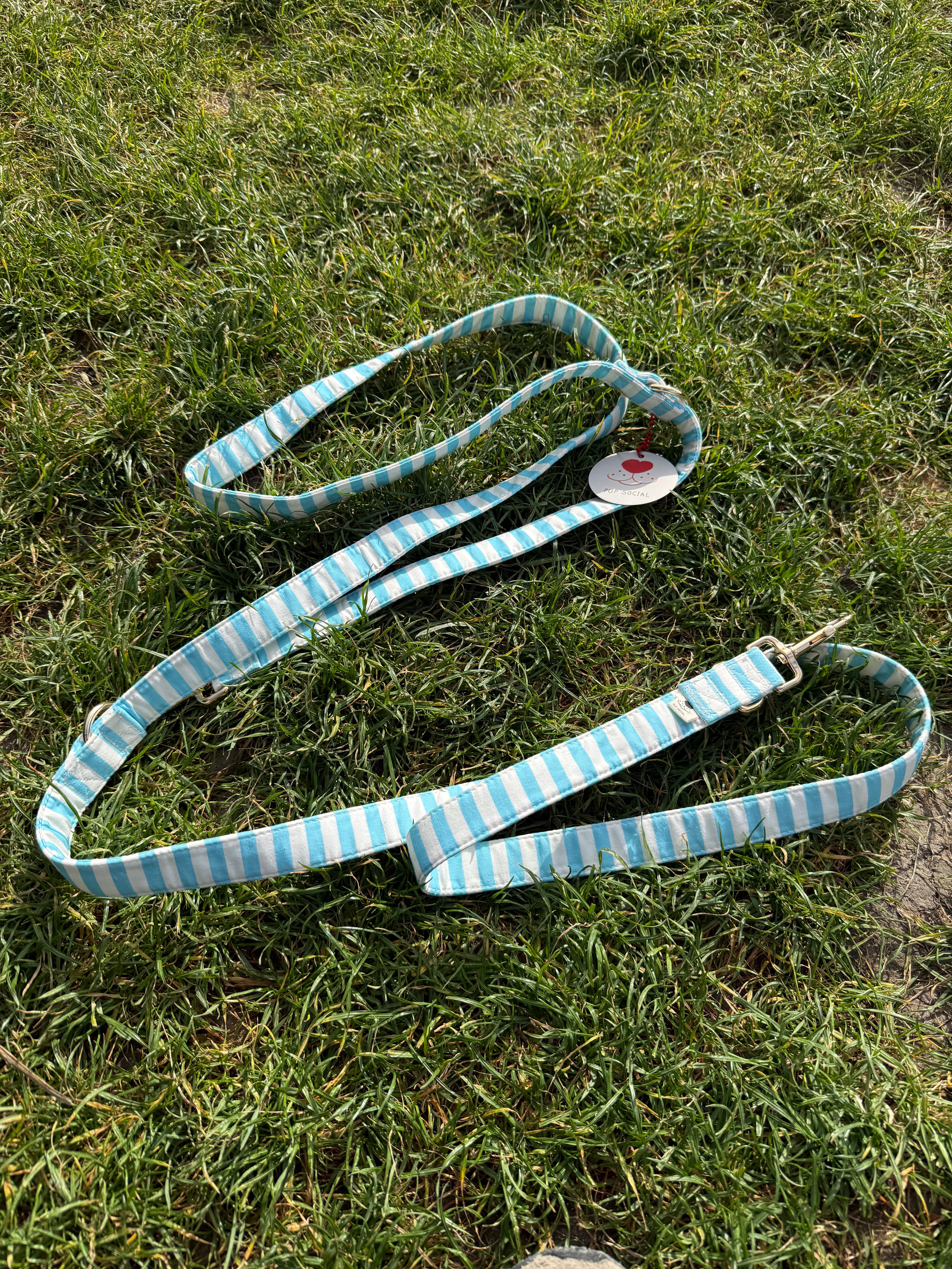 Sailor Adjustable Dog Leash