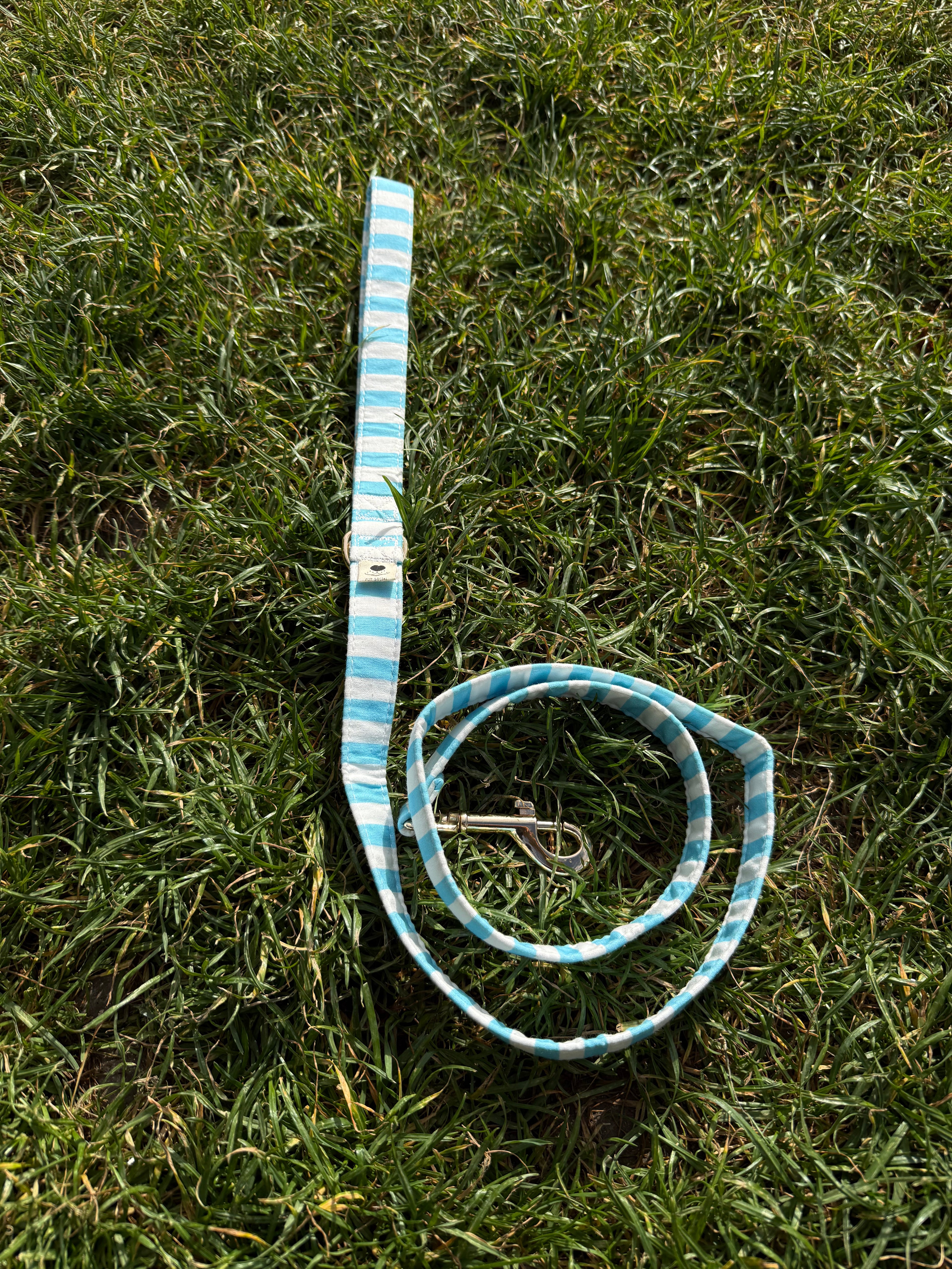 Sailor Dog Leash