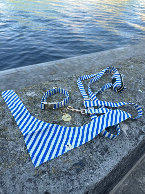 Marinière Collection for Dogs
