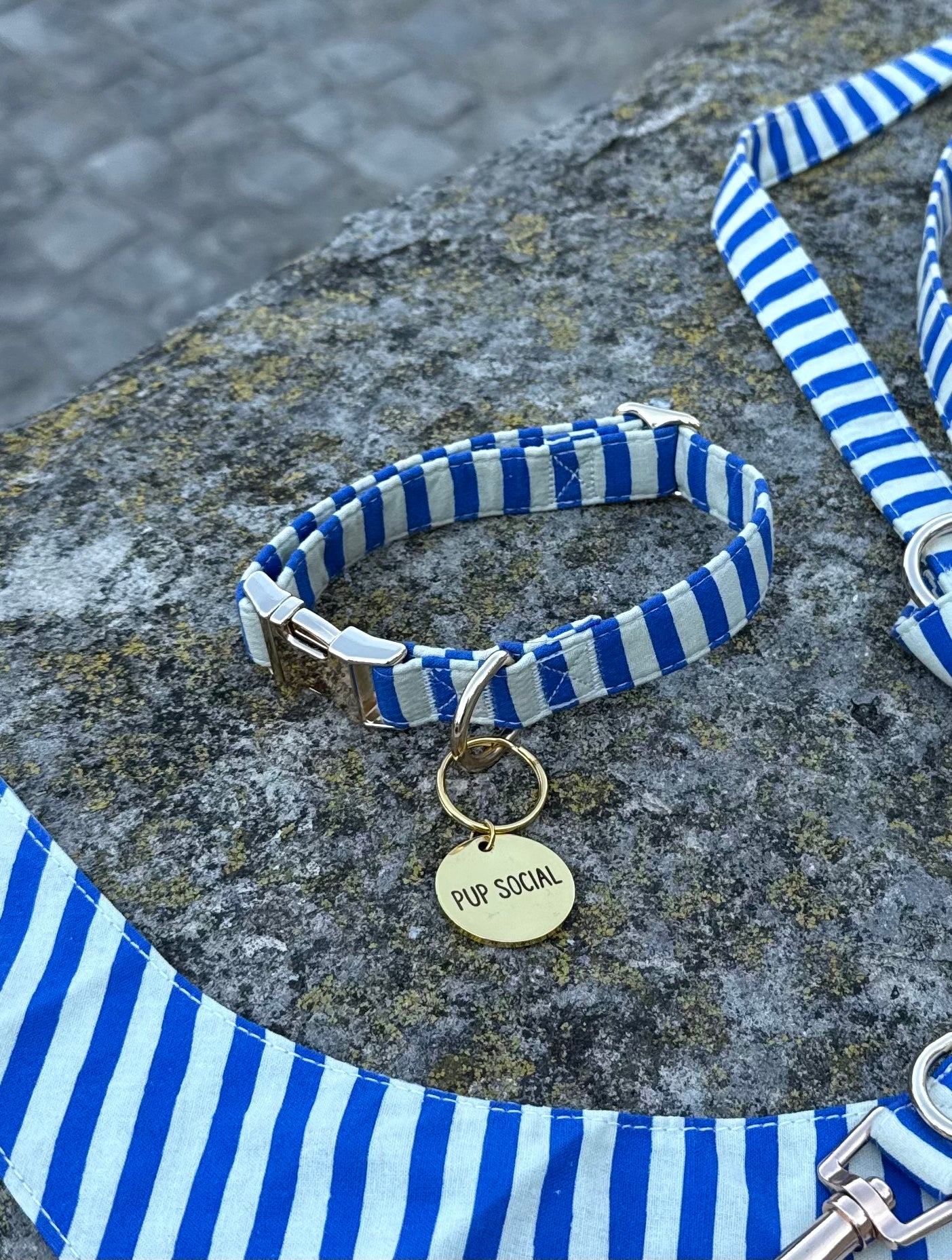 Marinière Dog Collar
