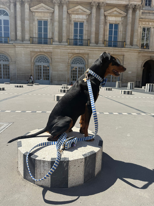 Blue and white striped dog leash inspired by French marinière style