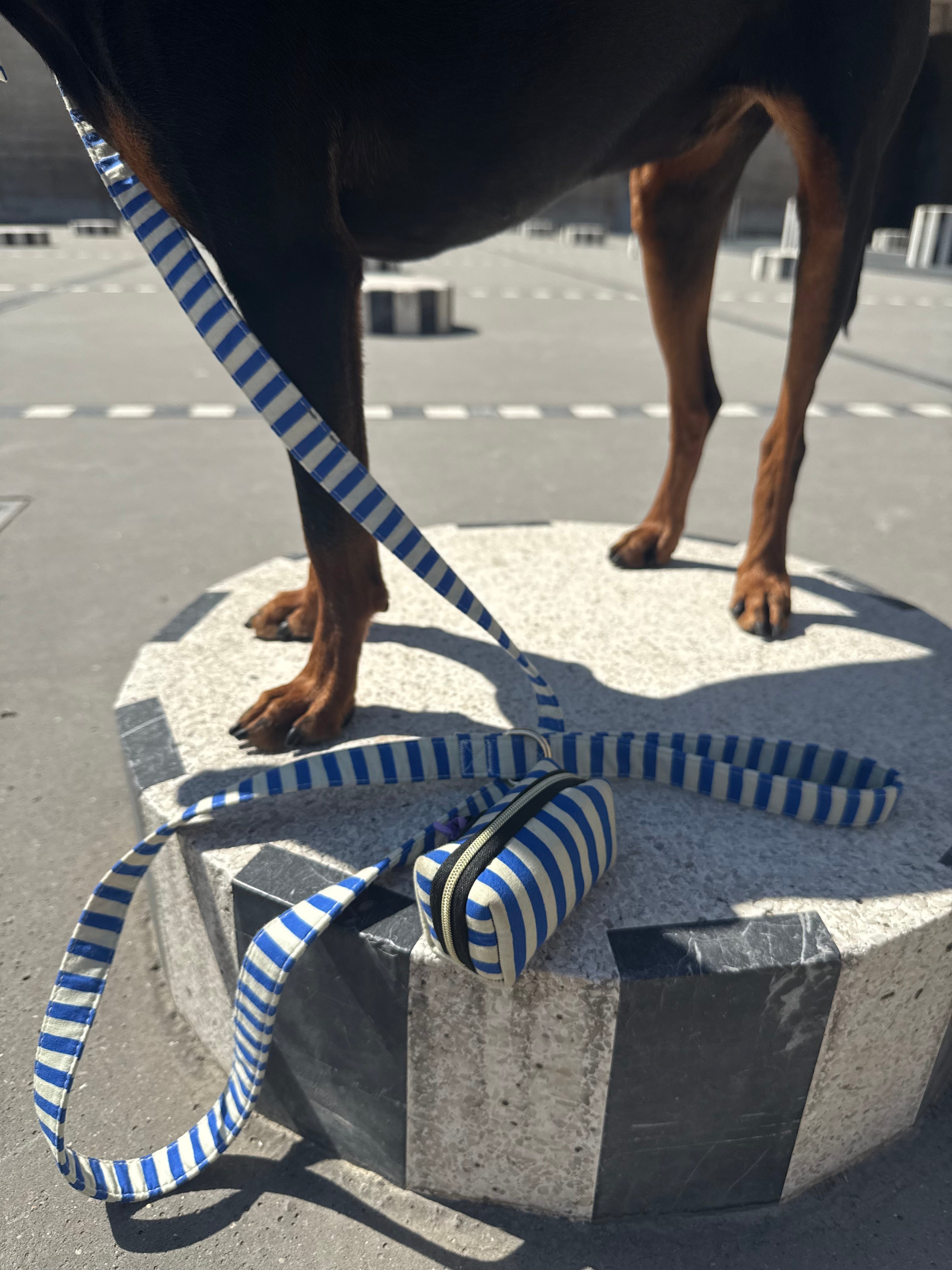Classic striped dog leash from the Marinière collection