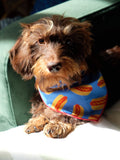 Hotdog Dog Bandana 
