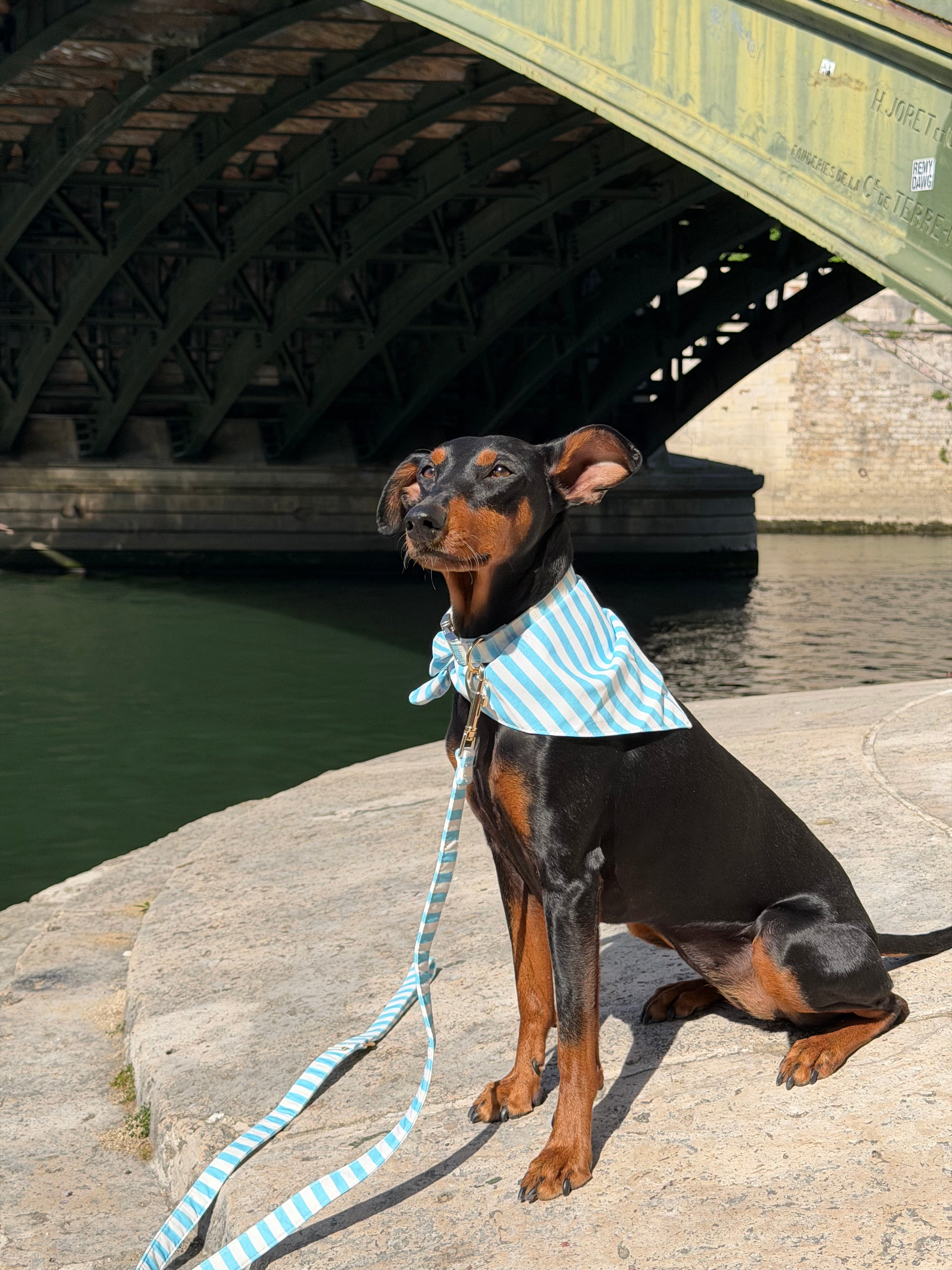 Sky-blue striped dog bandana tie on style