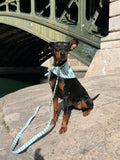 Sky blue and white striped sailor dog leash by Pup Social