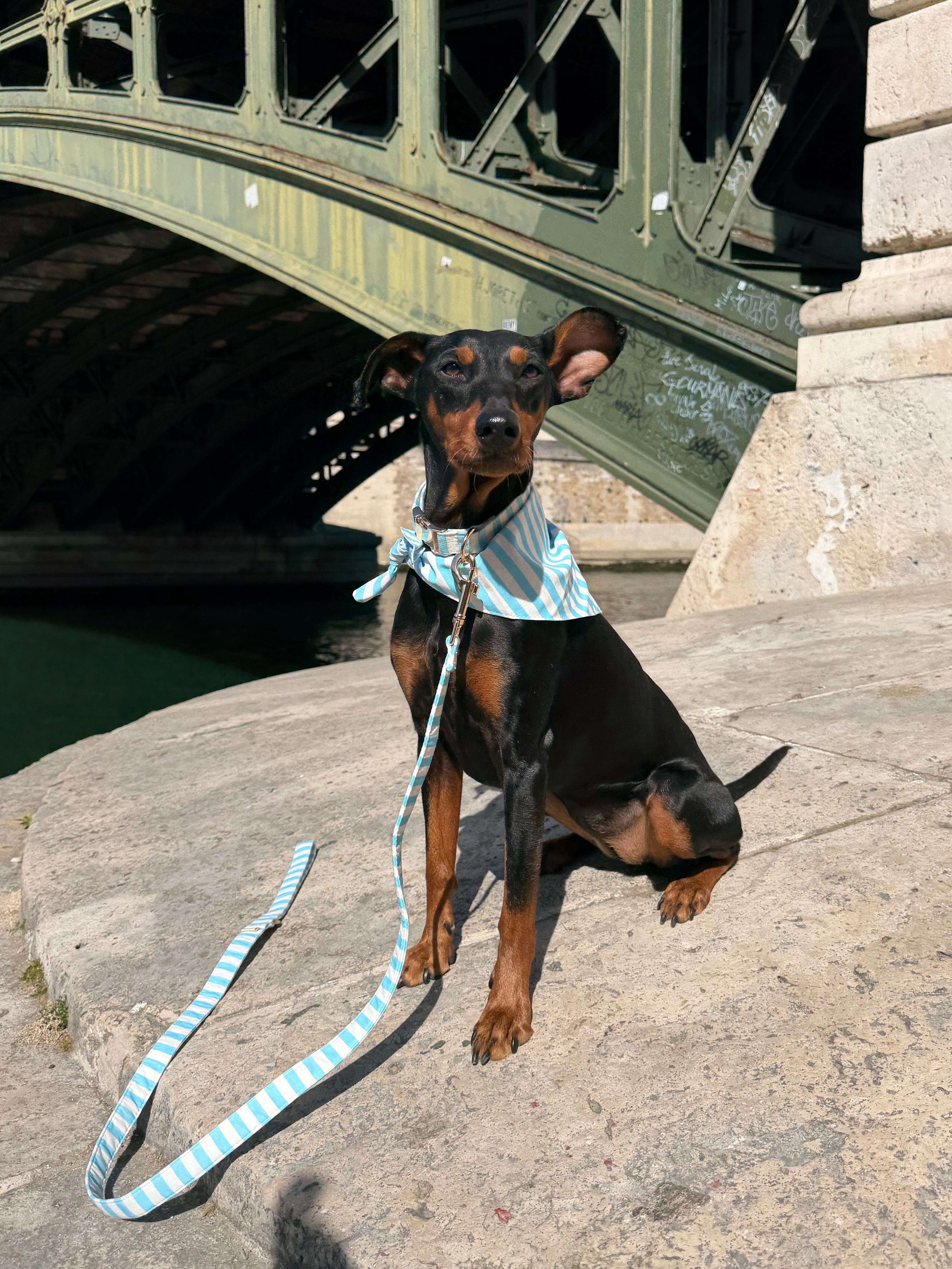 Sky blue and white striped sailor dog leash by Pup Social
