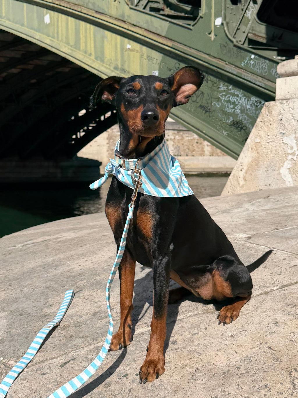 Sailor stripe dog bandana lightweight fabric